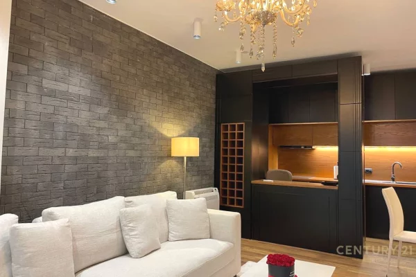 Shtepi me qera Apartament ne Tirane, 1+1, Mobilimi E mobiluar, Pagesa 880  Euro.