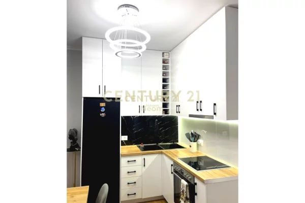 Shtepi ne shitje Apartament ne Tirane, 1+1, Mobilimi E mobiluar, Pagesa 119,000  Euro.