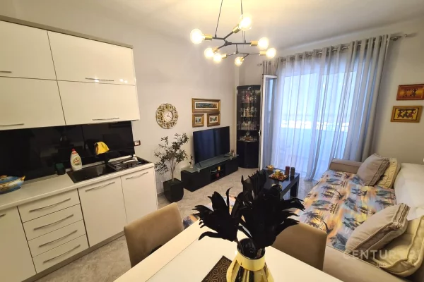 Shtepi me qera Apartament ne Tirane, 1+1, Mobilimi E mobiluar, Pagesa 600  Euro.