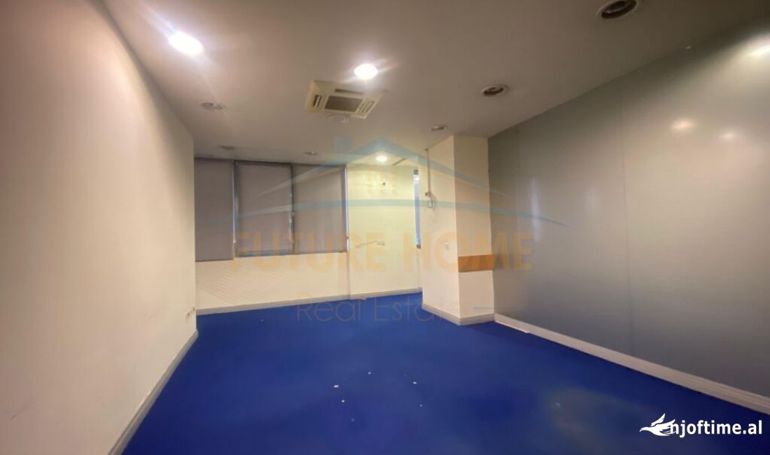 Qira, Ambient per zyra, Zogu i Zi