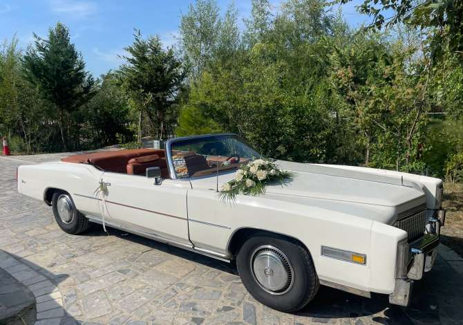 Noleggio Auto a Scutari - 500 Euro