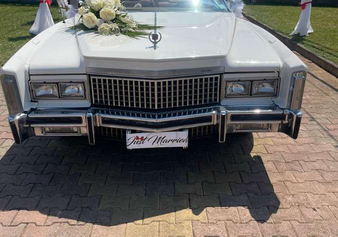 Noleggio Auto a Scutari - 500 Euro