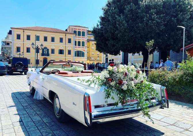 Noleggio Auto a Scutari - 500 Euro