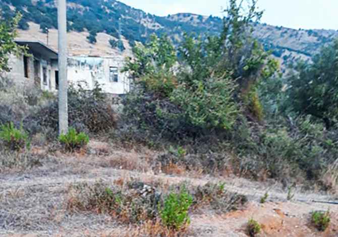 SHITET TOKE BUJQESORE NE HIMARE