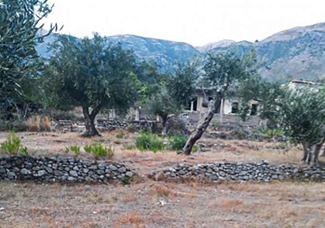 Truall ose Toke ne Himare - 35,000 Euro