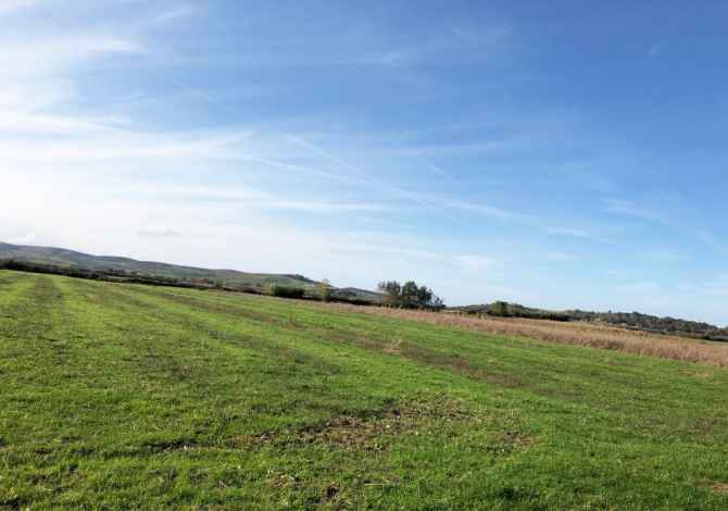 SHITET TOKË ARË NË NGURRËZ ''LUSHNJË''