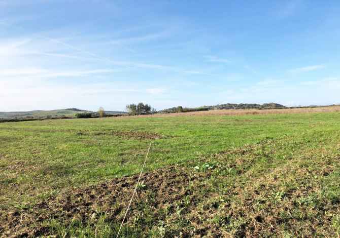 SHITET TOKE ARE NE NGURREZ ''LUSHNJE''