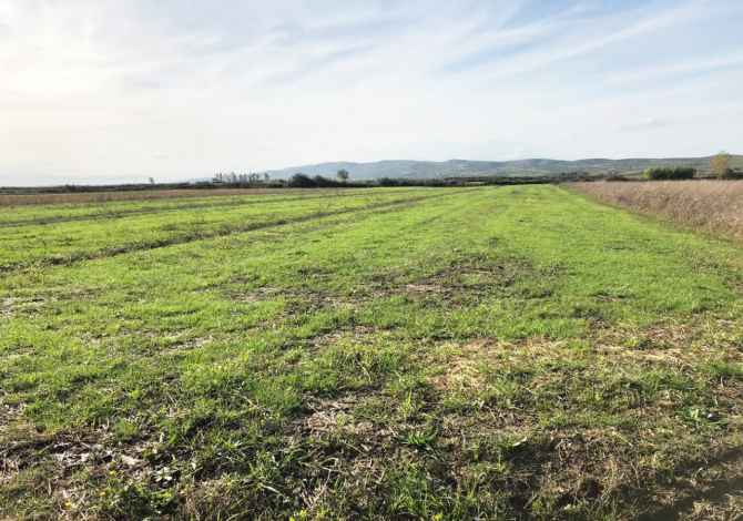 SHITET TOKE ARE NE NGURREZ ''LUSHNJE''