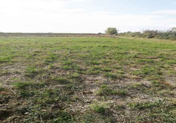 SHITET TOKE ARE NE NGURREZ ''LUSHNJE''