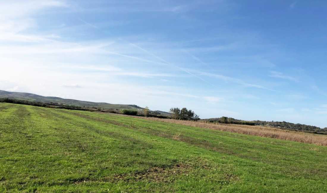 SHITET TOKE ARE NE NGURREZ ''LUSHNJE''