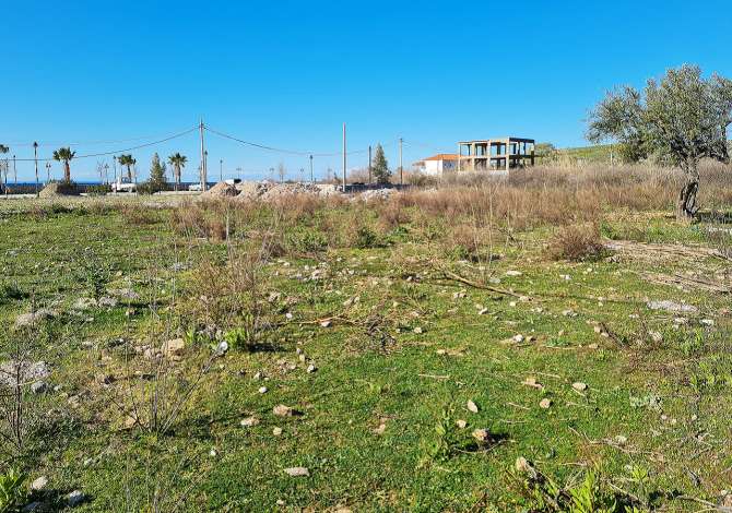 SHITET TOKE ULLISHTE NE FSHATIN QEPARO, HIMARE.