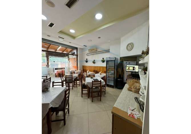 SHITET BIZNESI TE FORSINA PLAKU