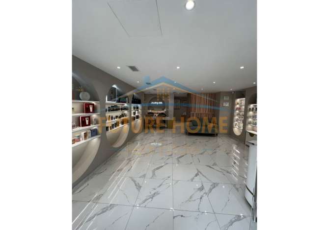 AMBIENT PER QERA SHESHI WILLSON!