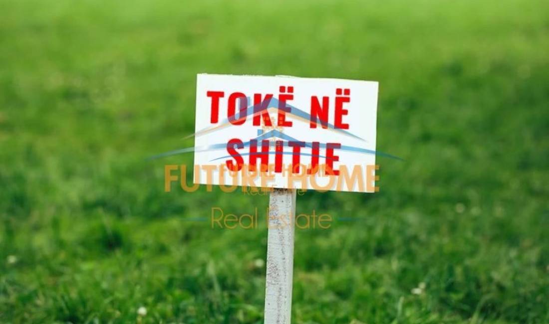 shitet toke ne don bosko