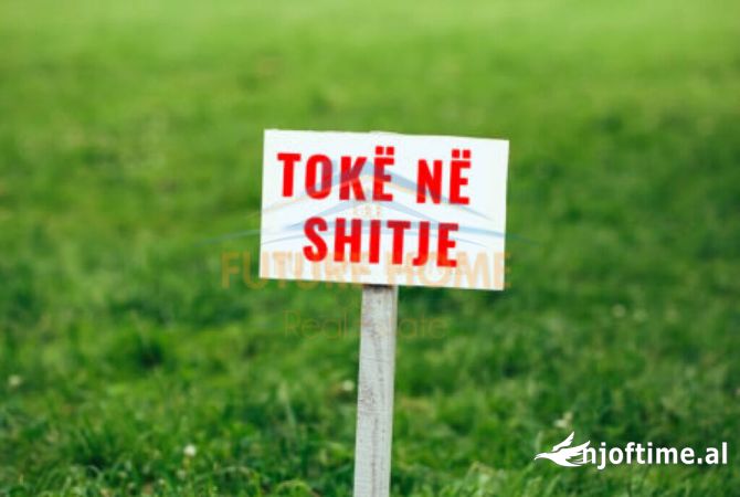 Shitet Toke ne Qerret, Kavaje