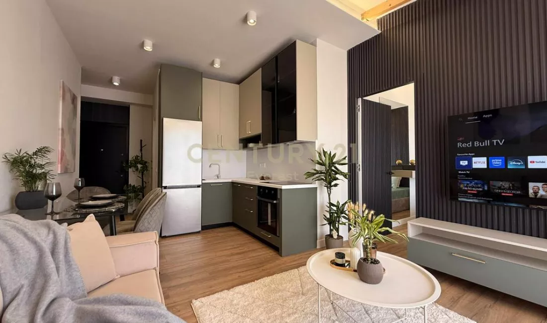 Shtepi ne shitje Apartament ne Tirane, 1+1, Mobilimi E mobiluar, Pagesa 119,500  Euro.