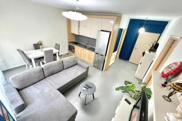 Shtepi me qera Apartament ne Tirane, 1+1, Mobilimi E mobiluar, Pagesa 650  Euro.