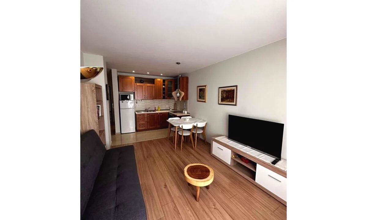 Apartment for rent in Tirana 1+1, Furnished