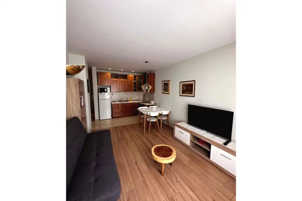 Apartment for rent in Tirana 1+1, Furnished