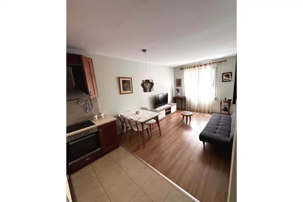 Apartment for rent in Tirana 1+1, Furnished