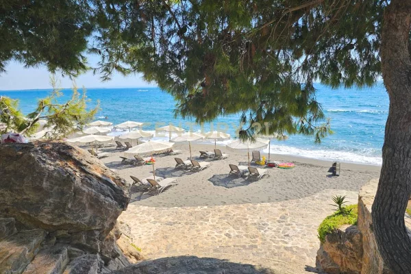 fotot  🏡 APARTAMENT 1+1 PËR SHITJE – RANA E HEDHUR, SHËNGJIN (ILYONIS RESIDENCE)