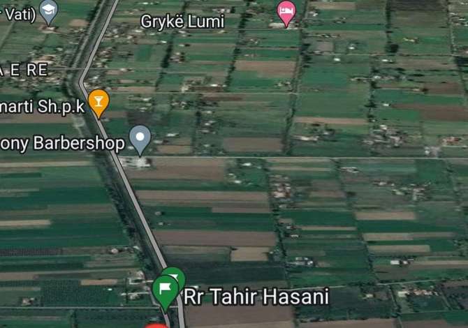 Okazione shitet toke me certefikat pronesie