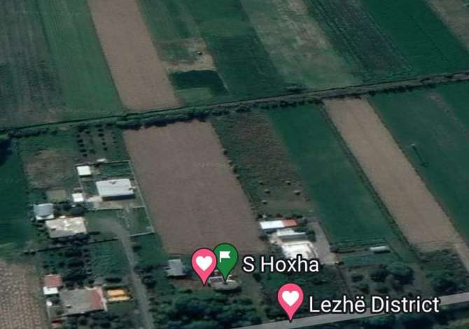 Truall ose Toke ne Lezhe - 200,000 Euro