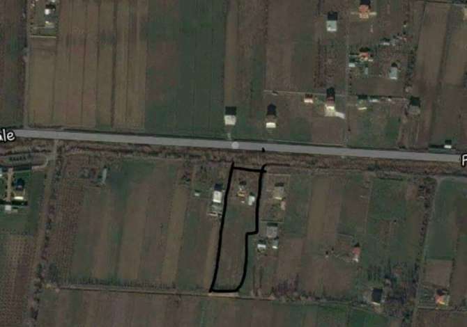 Truall ose Toke ne Lezhe - 200,000 Euro