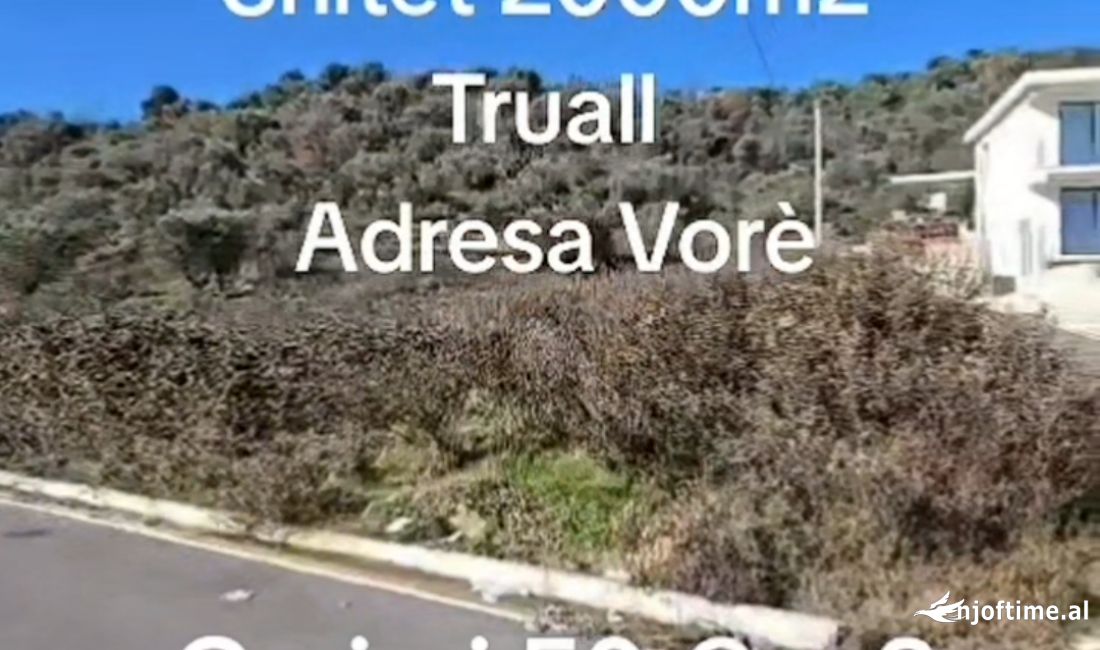Okazion shitet 2000m2 Truall Adresa Vore