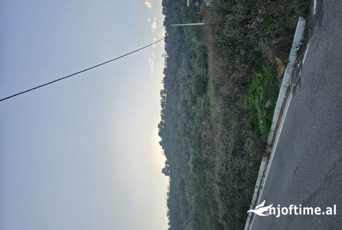 Terreno in vendita a Tirana - 100,000 Euro