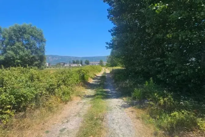 Okazion shitet prona 2171m2 Adresa Rrile Lezhe