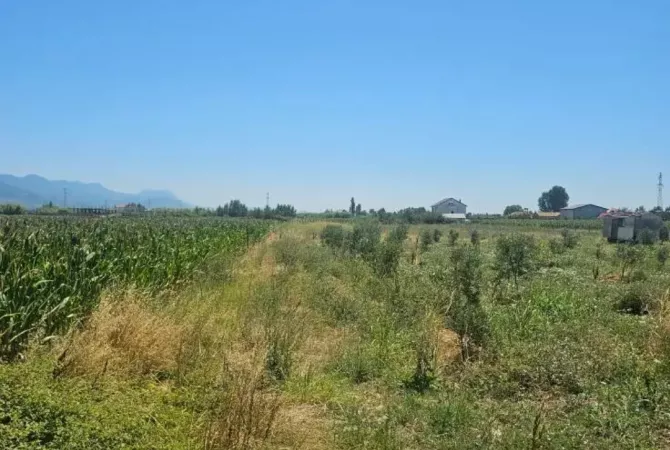 Okazion shitet prona 2171m2 Adresa Rrile Lezhe