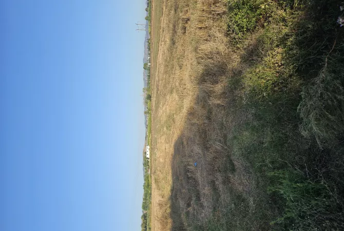 Okazion shitet prona 4000m2 Adresa Kavaje