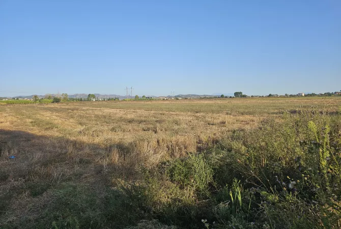 Okazion shitet prona 4000m2 Adresa Kavaje