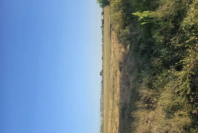 Okazion shitet prona 4000m2 Adresa Kavaje