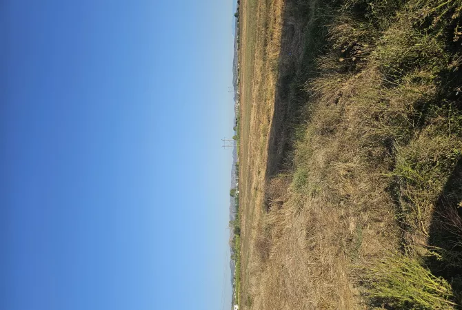 Okazion shitet prona 4000m2 Adresa Kavaje