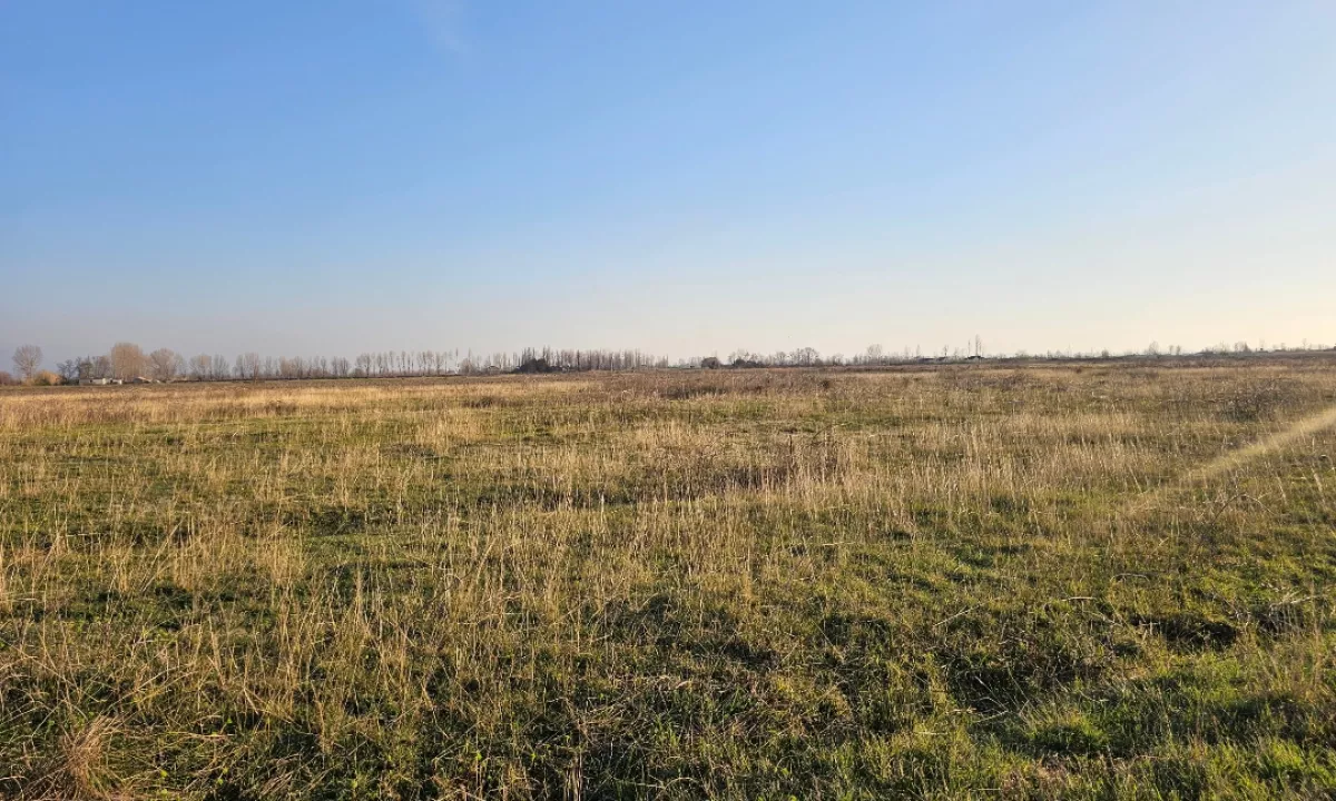 Okazion shitet prona 20000m2 Adresa Rrile Tale 