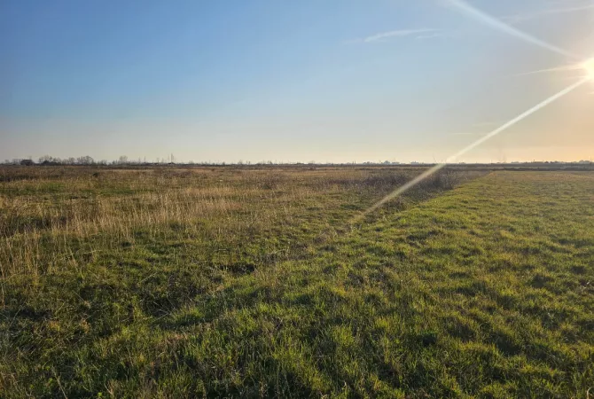 Okazion shitet prona 20000m2 Adresa Rrile Tale 