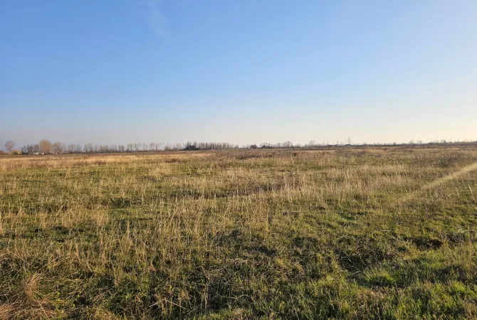 Okazion shitet prona 20000m2 Adresa Rrile Tale 