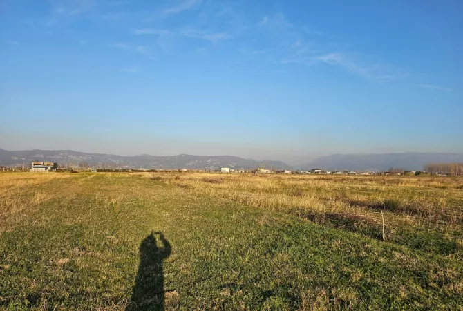 Okazion shitet prona 20000m2 Adresa Rrile Tale 