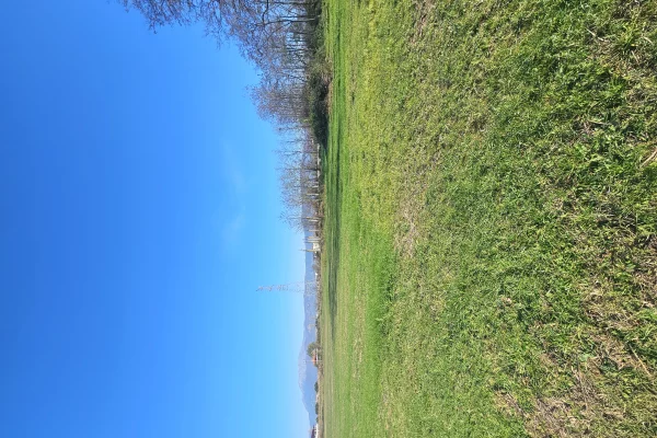 Okazion shitet prona 2900m2 Adresa Tale Lezhe