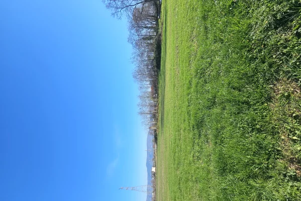 Truall ose Toke ne Lezhe - 47,500 Euro