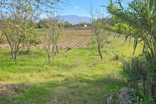 Shitet prona 1550m2 Me certefikate pronesie Adresa Berxulle