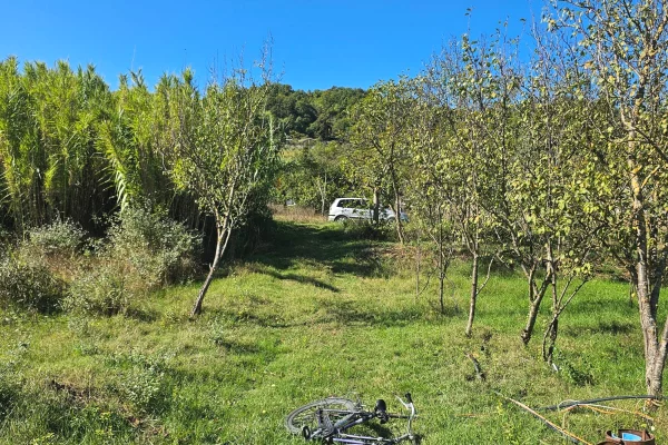 Shitet prona 1550m2 Me certefikate pronesie Adresa Berxulle