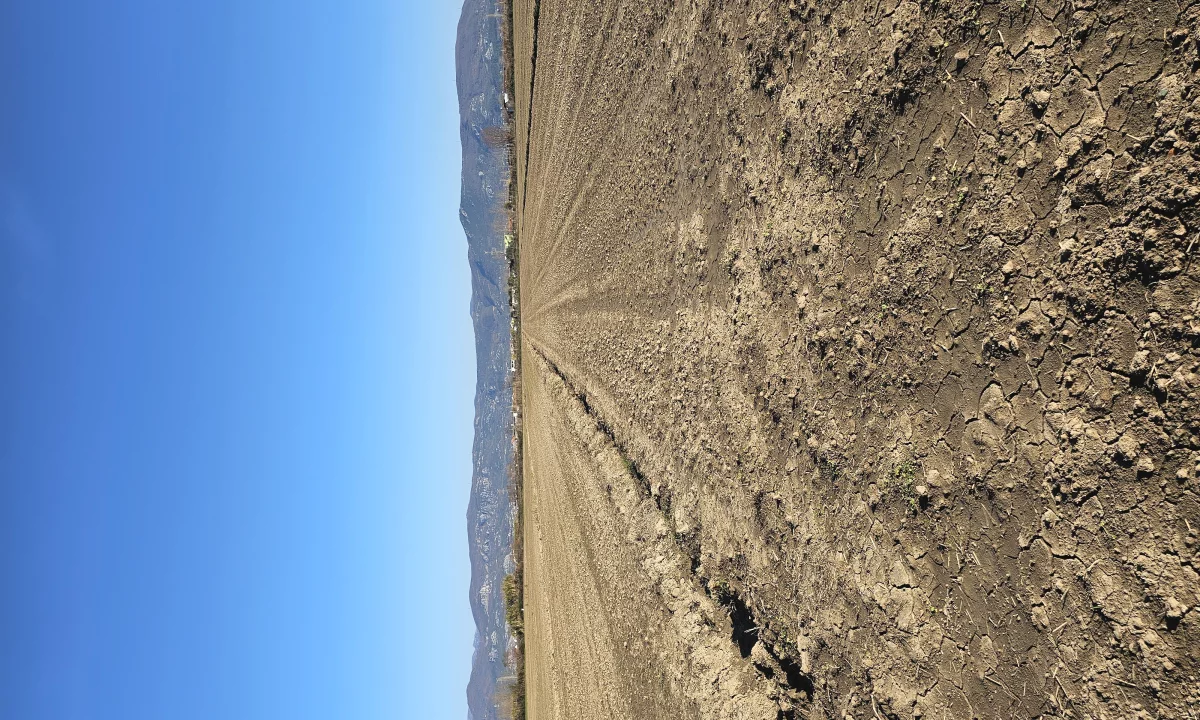 Shitet prona 3750m2  Adresa Rrile Tale Lezhe