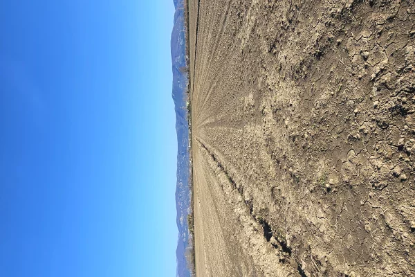 Shitet prona 3750m2  Adresa Rrile Tale Lezhe