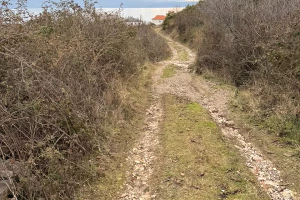 Shitet prona 2500m2 Adresa Pogradec