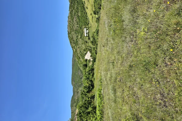 Shitet prona 2000m2 Adresa Pogradec