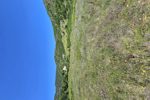 Shitet prona 2000m2 Adresa Pogradec