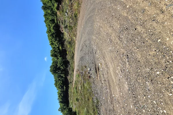Shitet prona 2000m2 Adresa Pogradec